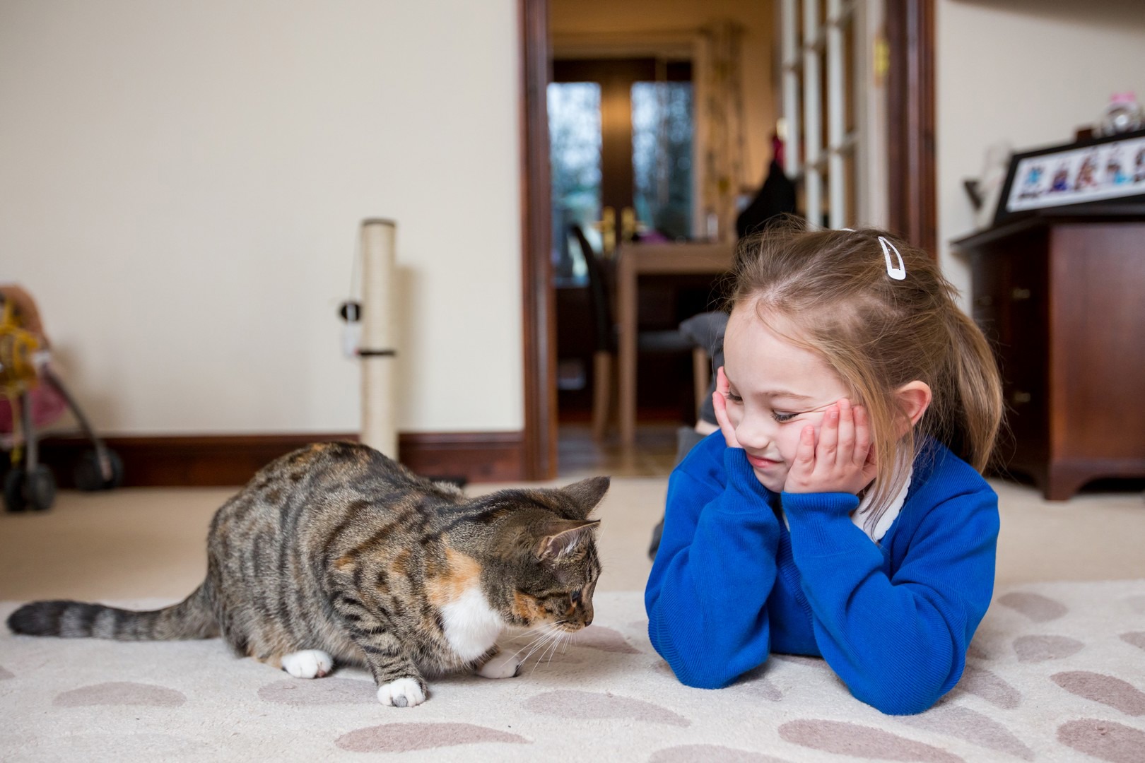 Cats and children